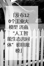 发布120个工业大模型 济南 “人工智能生态共同体”初具规模