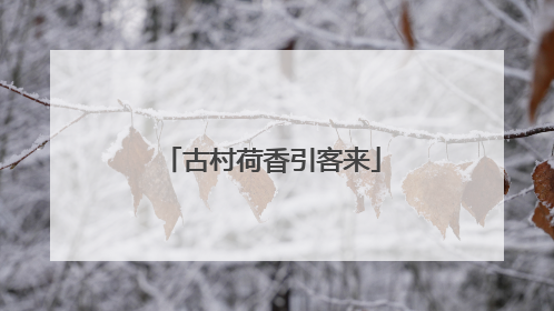 古村荷香引客来