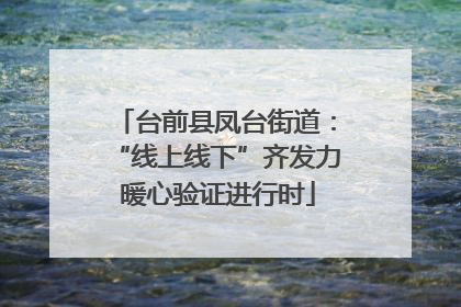 台前县凤台街道：“线上线下”齐发力 暖心验证进行时
