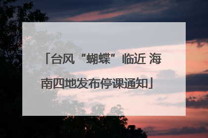 台风“蝴蝶”临近 海南四地发布停课通知