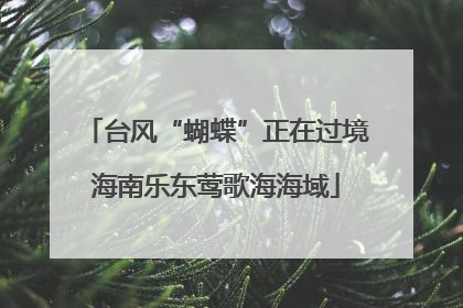 台风“蝴蝶”正在过境海南乐东莺歌海海域