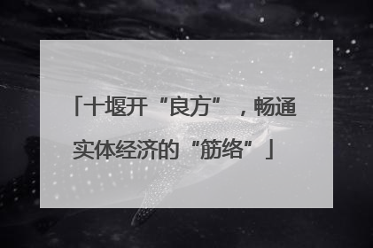 十堰开“良方”，畅通实体经济的“筋络”