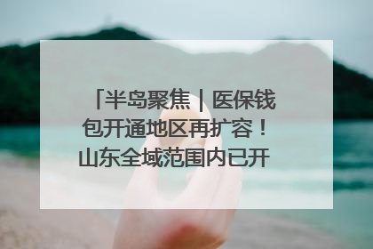 半岛聚焦｜医保钱包开通地区再扩容！山东全域范围内已开通，有何用处？如何操作？速戳→