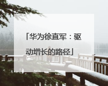 华为徐直军：驱动增长的路径