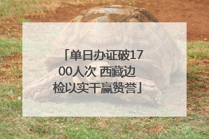单日办证破1700人次 西藏边检以实干赢赞誉