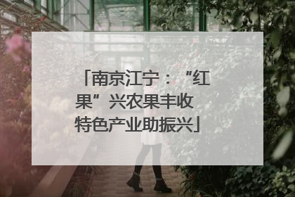 南京江宁：“红果”兴农果丰收 特色产业助振兴