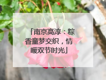 南京高淳：粽香童梦交织，情暖双节时光