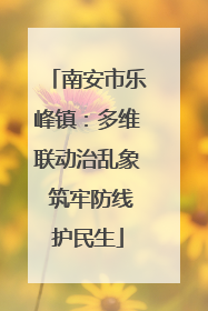 南安市乐峰镇：多维联动治乱象 筑牢防线护民生
