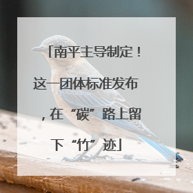 南平主导制定！这一团体标准发布，在“碳”路上留下“竹”迹