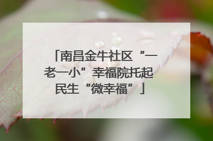 南昌金牛社区“一老一小”幸福院托起民生“微幸福”