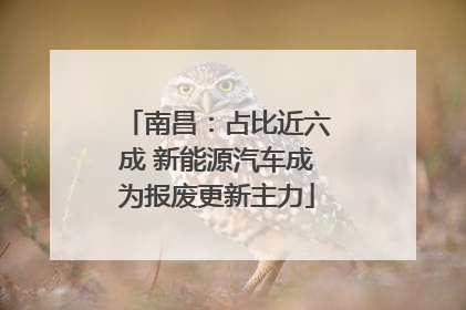 南昌：占比近六成 新能源汽车成为报废更新主力