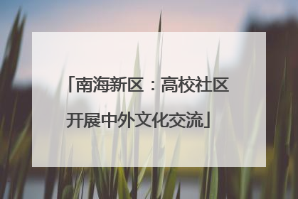 南海新区：高校社区开展中外文化交流