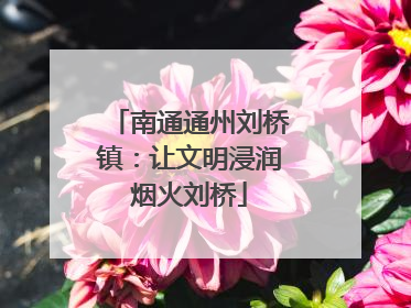 南通通州刘桥镇：让文明浸润烟火刘桥