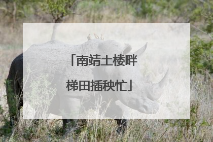 南靖土楼畔 梯田插秧忙
