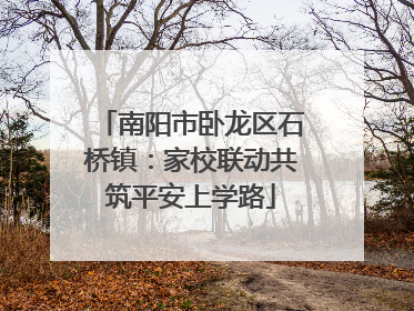 南阳市卧龙区石桥镇：家校联动共筑平安上学路