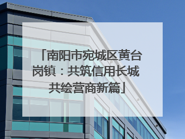 南阳市宛城区黄台岗镇：共筑信用长城 共绘营商新篇