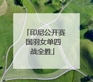 印尼公开赛 国羽女单四战全胜
