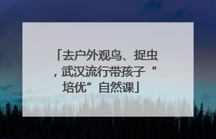 去户外观鸟、捉虫，武汉流行带孩子“培优”自然课
