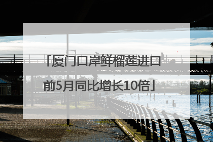 厦门口岸鲜榴莲进口 前5月同比增长10倍