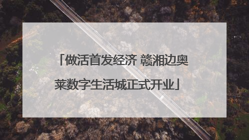 做活首发经济 赣湘边奥莱数字生活城正式开业