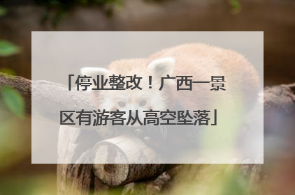 停业整改！广西一景区有游客从高空坠落