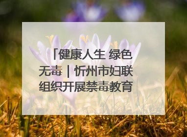 健康人生 绿色无毒｜忻州市妇联组织开展禁毒教育参观学习并开展主题党日活动