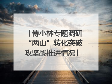 傅小林专题调研“两山”转化突破攻坚战推进情况