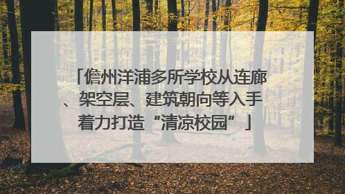 儋州洋浦多所学校从连廊、架空层、建筑朝向等入手 着力打造“清凉校园”