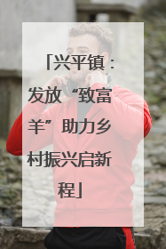兴平镇：发放“致富羊”助力乡村振兴启新程