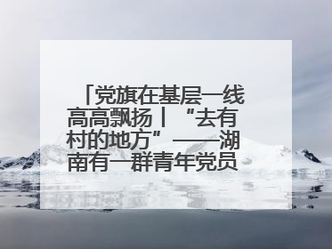 党旗在基层一线高高飘扬丨“去有村的地方”——湖南有一群青年党员这样选择