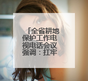 全省耕地保护工作电视电话会议强调：扛牢责任守住耕地保护红线 系统施治夯实粮食安全根基 王宁作出批示 王予波出席并讲话