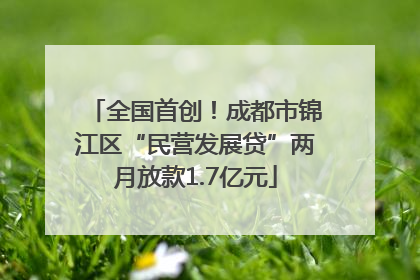 全国首创！成都市锦江区“民营发展贷”两月放款1.7亿元