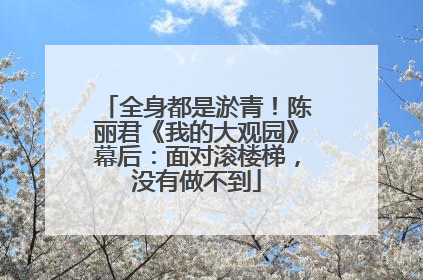 全身都是淤青！陈丽君《我的大观园》幕后：面对滚楼梯，没有做不到