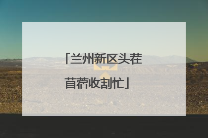 兰州新区头茬苜蓿收割忙