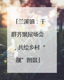 兰溪镇：干群齐聚屋场会，共绘乡村“靓”图景