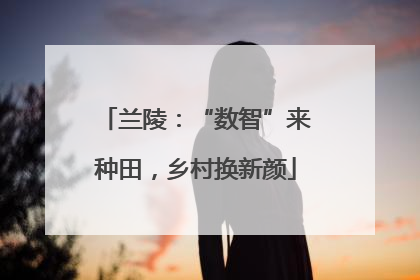兰陵：“数智”来种田，乡村换新颜