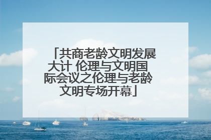 共商老龄文明发展大计 伦理与文明国际会议之伦理与老龄文明专场开幕