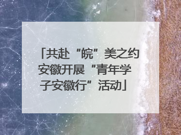 共赴“皖”美之约 安徽开展“青年学子安徽行”活动
