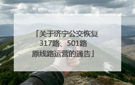 关于济宁公交恢复317路、501路原线路运营的通告