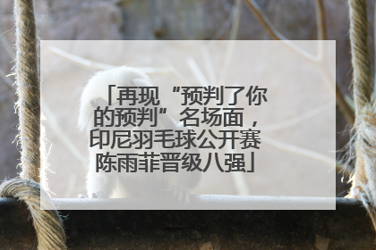 再现“预判了你的预判”名场面，印尼羽毛球公开赛陈雨菲晋级八强