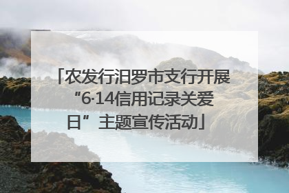 农发行汨罗市支行开展“6·14信用记录关爱日”主题宣传活动