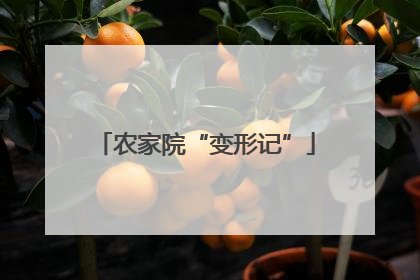 农家院“变形记”