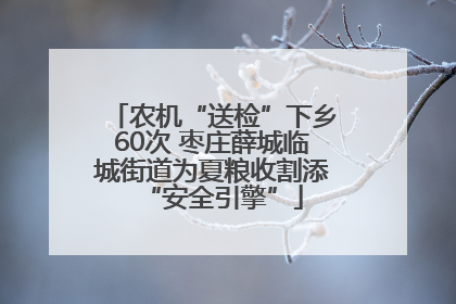 农机“送检”下乡60次 枣庄薛城临城街道为夏粮收割添“安全引擎”