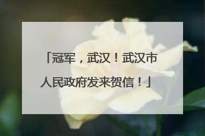 冠军，武汉！武汉市人民政府发来贺信！