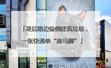 凌晨路边偷倒建筑垃圾，一张快递单“露马脚”