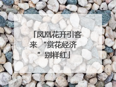 凤凰花开引客来 “赏花经济”别样红