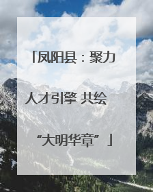 凤阳县：聚力人才引擎 共绘“大明华章”