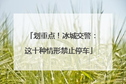 划重点！冰城交警：这十种情形禁止停车