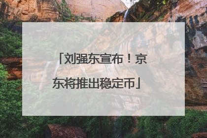 刘强东宣布！京东将推出稳定币