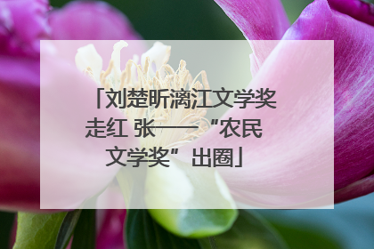 刘楚昕漓江文学奖走红 张一一“农民文学奖”出圈